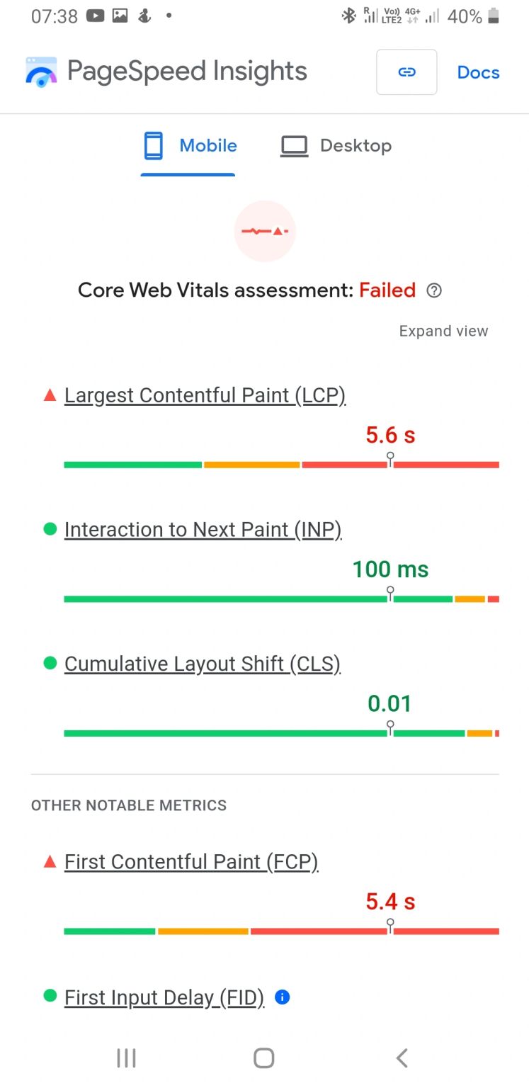 Google PageSpeed Insights showing a failed Core Web Vitals assessment for the email sender's own website